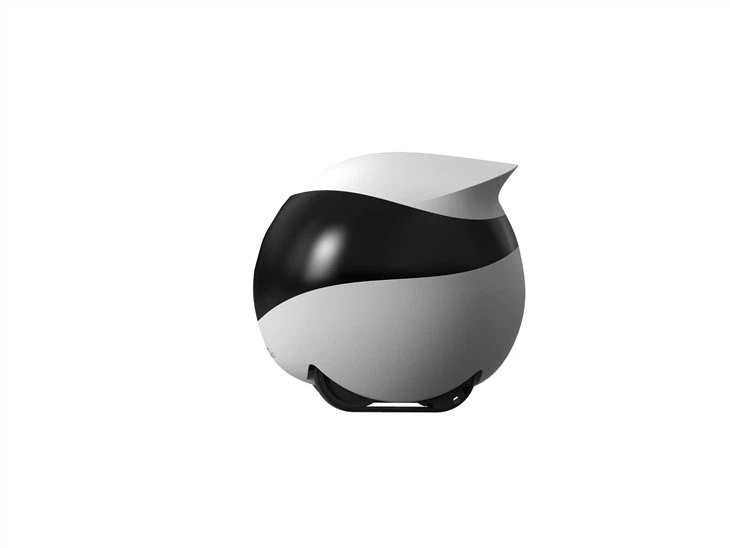 Home Robot