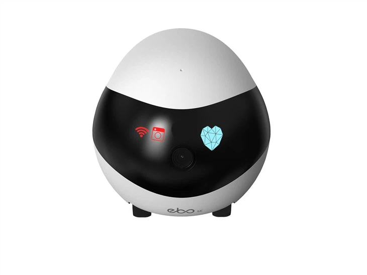 Home Robot