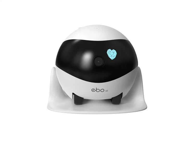 Home Robot